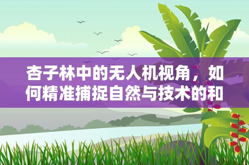 杏子林中的无人机视角，如何精准捕捉自然与技术的和谐之美？
