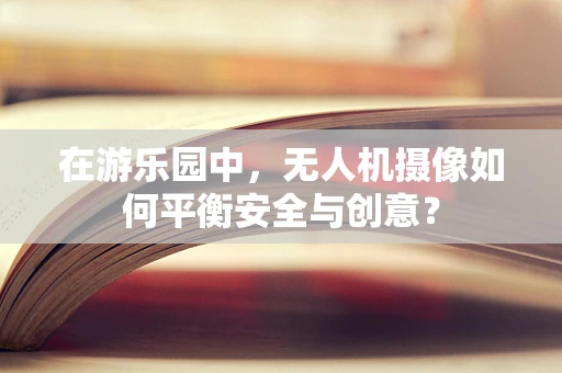 在游乐园中，无人机摄像如何平衡安全与创意？