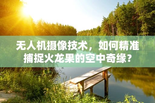 无人机摄像技术，如何精准捕捉火龙果的空中奇缘？