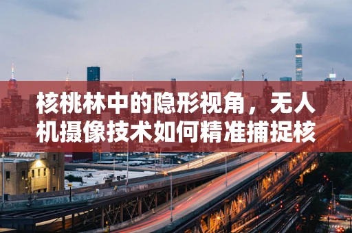 核桃林中的隐形视角，无人机摄像技术如何精准捕捉核桃成熟瞬间？