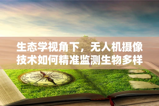 生态学视角下，无人机摄像技术如何精准监测生物多样性？