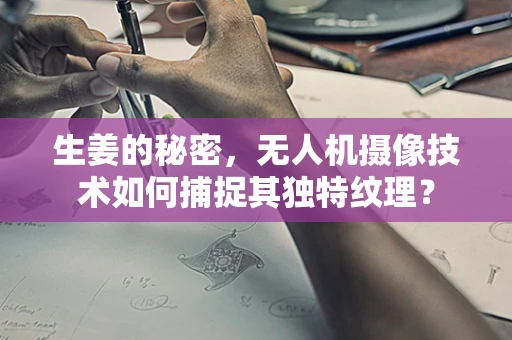 生姜的秘密，无人机摄像技术如何捕捉其独特纹理？