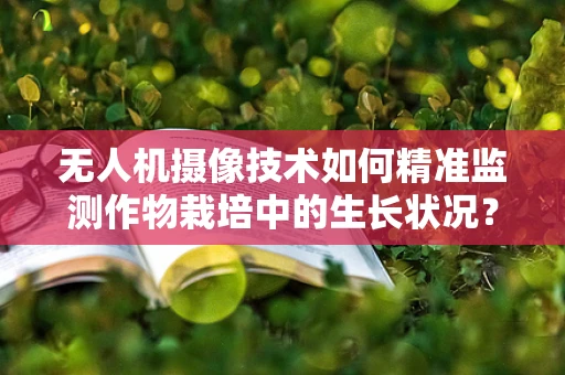 无人机摄像技术如何精准监测作物栽培中的生长状况？