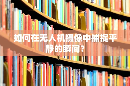 如何在无人机摄像中捕捉平静的瞬间？