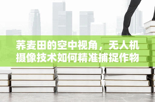 荞麦田的空中视角，无人机摄像技术如何精准捕捉作物生长的微妙变化？