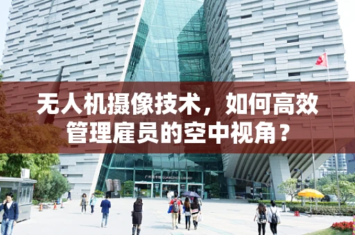 无人机摄像技术，如何高效管理雇员的空中视角？
