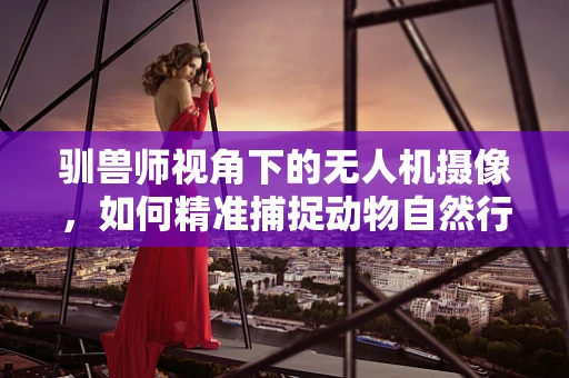 驯兽师视角下的无人机摄像，如何精准捕捉动物自然行为？