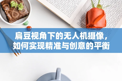 扁豆视角下的无人机摄像，如何实现精准与创意的平衡？