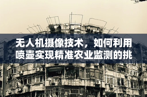 无人机摄像技术，如何利用喷壶实现精准农业监测的挑战与解决方案？