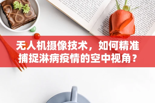 无人机摄像技术，如何精准捕捉淋病疫情的空中视角？