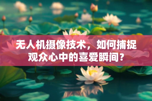 无人机摄像技术，如何捕捉观众心中的喜爱瞬间？