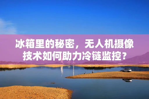 冰箱里的秘密，无人机摄像技术如何助力冷链监控？