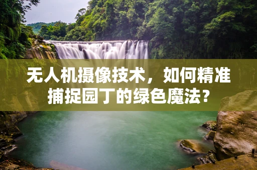 无人机摄像技术，如何精准捕捉园丁的绿色魔法？
