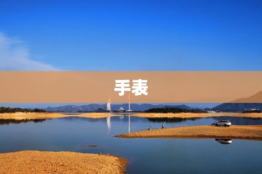 手表