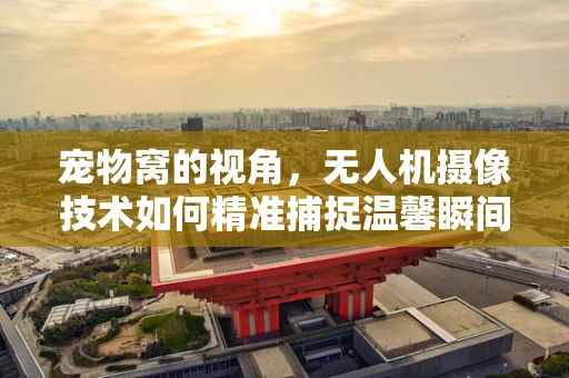 宠物窝的视角，无人机摄像技术如何精准捕捉温馨瞬间？