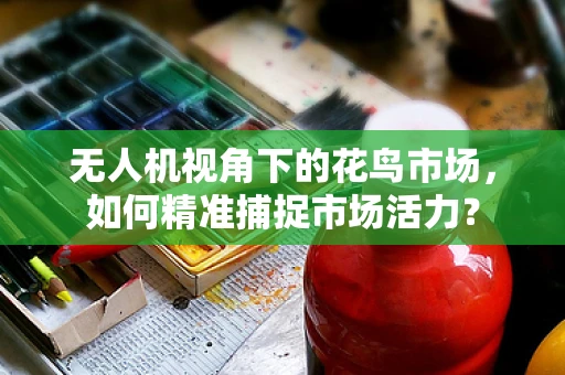 无人机视角下的花鸟市场，如何精准捕捉市场活力？