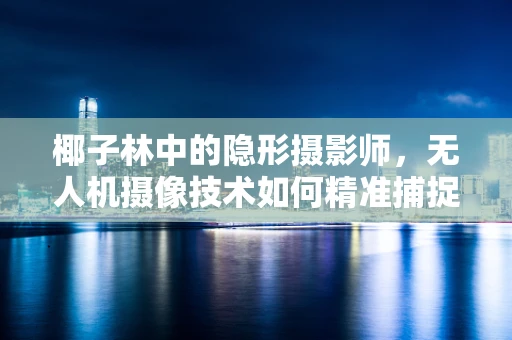 椰子林中的隐形摄影师，无人机摄像技术如何精准捕捉椰影婆娑？