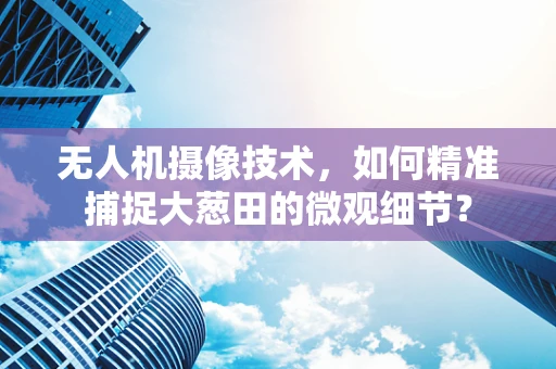 无人机摄像技术，如何精准捕捉大葱田的微观细节？