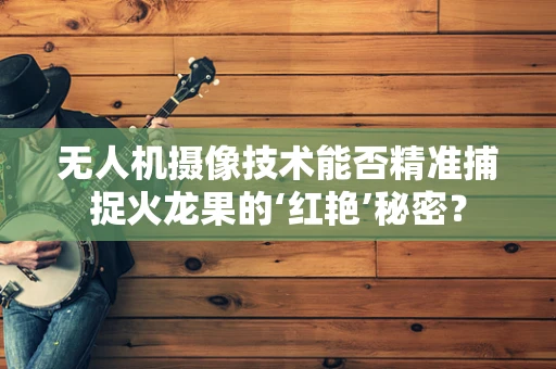 无人机摄像技术能否精准捕捉火龙果的‘红艳’秘密？