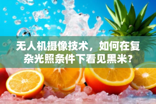 无人机摄像技术，如何在复杂光照条件下看见黑米？