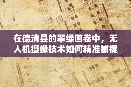 在德清县的翠绿画卷中，无人机摄像技术如何精准捕捉自然之美？