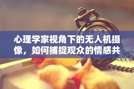 心理学家视角下的无人机摄像，如何捕捉观众的情感共鸣？