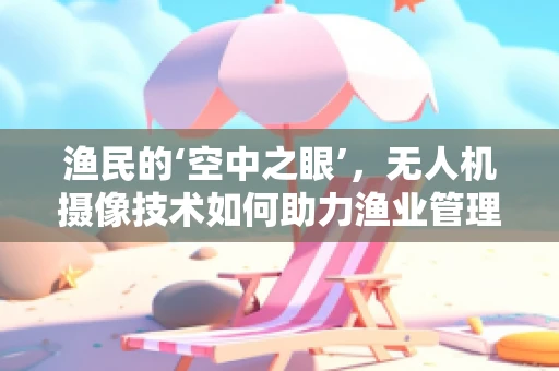 渔民的‘空中之眼’，无人机摄像技术如何助力渔业管理？