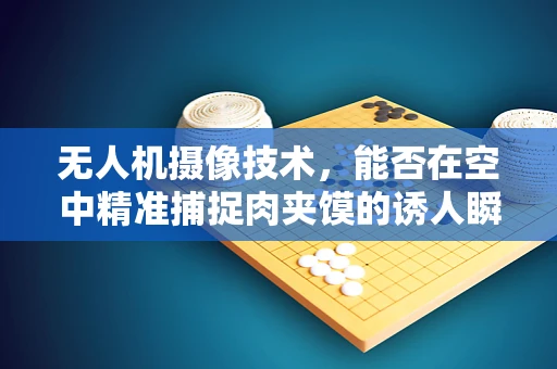 无人机摄像技术，能否在空中精准捕捉肉夹馍的诱人瞬间？