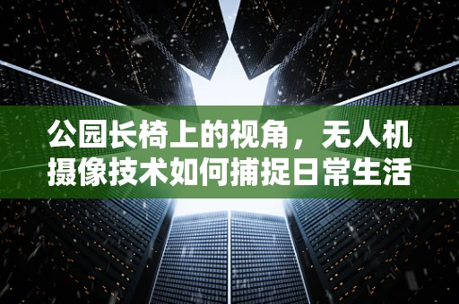 公园长椅上的视角，无人机摄像技术如何捕捉日常生活的微妙细节？