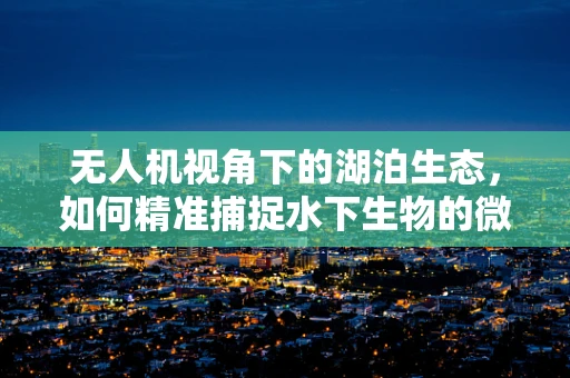 无人机视角下的湖泊生态，如何精准捕捉水下生物的微妙瞬间？
