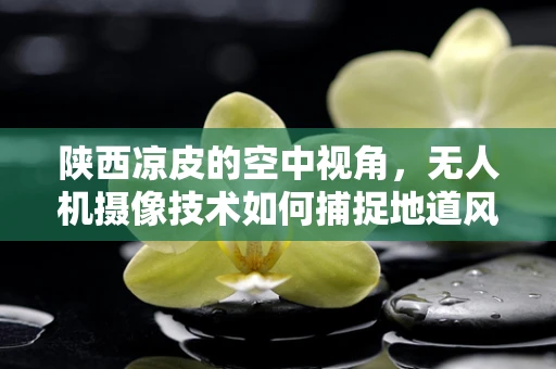 陕西凉皮的空中视角，无人机摄像技术如何捕捉地道风味？