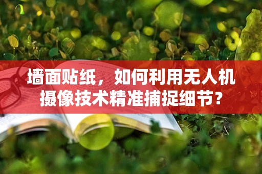 墙面贴纸，如何利用无人机摄像技术精准捕捉细节？