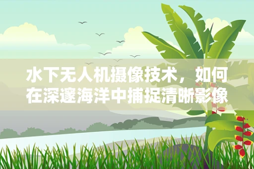 水下无人机摄像技术，如何在深邃海洋中捕捉清晰影像？