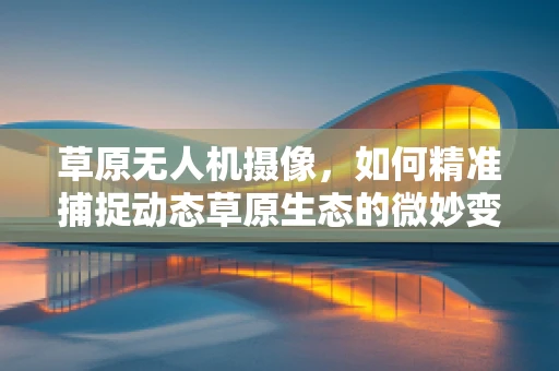 草原无人机摄像，如何精准捕捉动态草原生态的微妙变化？