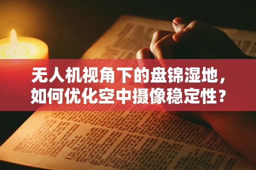 无人机视角下的盘锦湿地，如何优化空中摄像稳定性？