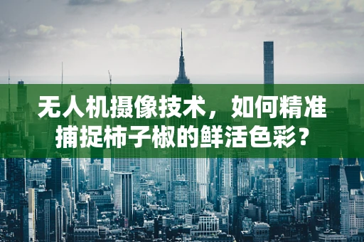 无人机摄像技术，如何精准捕捉柿子椒的鲜活色彩？