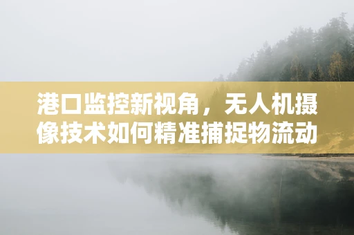 港口监控新视角，无人机摄像技术如何精准捕捉物流动态？