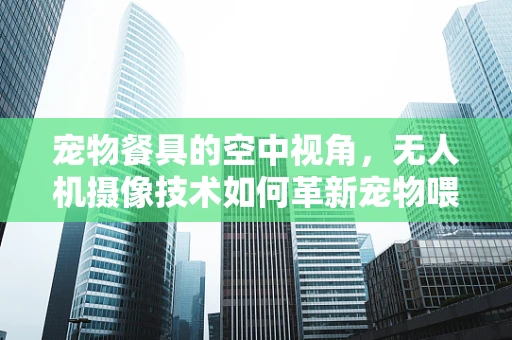 宠物餐具的空中视角，无人机摄像技术如何革新宠物喂食监控？