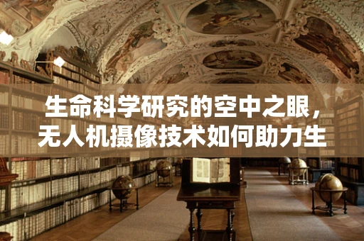 生命科学研究的空中之眼，无人机摄像技术如何助力生物多样性监测？