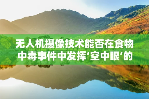 无人机摄像技术能否在食物中毒事件中发挥‘空中眼’的作用？