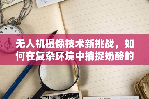 无人机摄像技术新挑战，如何在复杂环境中捕捉奶酪的完美瞬间？