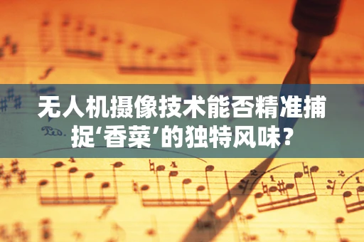 无人机摄像技术能否精准捕捉‘香菜’的独特风味？