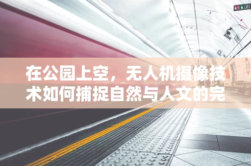在公园上空，无人机摄像技术如何捕捉自然与人文的完美融合？