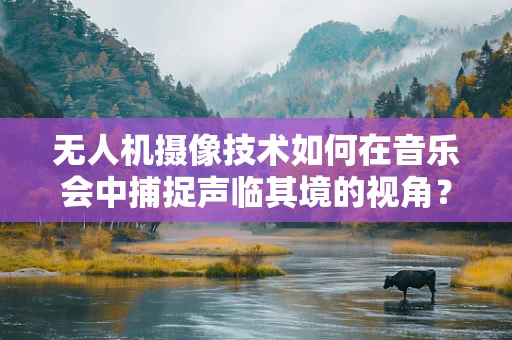 无人机摄像技术如何在音乐会中捕捉声临其境的视角？