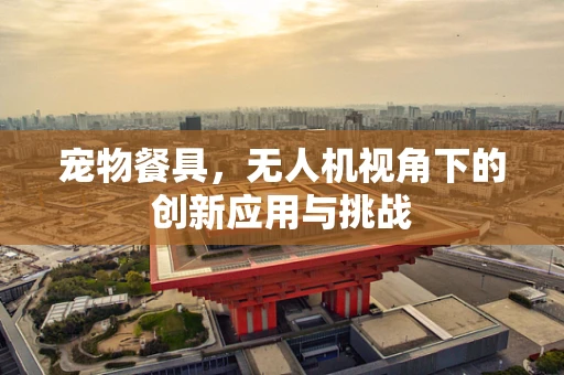 宠物餐具，无人机视角下的创新应用与挑战