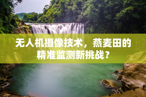 无人机摄像技术，燕麦田的精准监测新挑战？