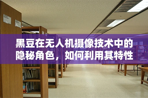 黑豆在无人机摄像技术中的隐秘角色，如何利用其特性优化图像捕捉？