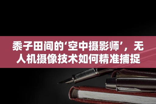 黍子田间的‘空中摄影师’，无人机摄像技术如何精准捕捉作物生长细节？