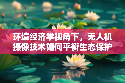 环境经济学视角下，无人机摄像技术如何平衡生态保护与经济发展？