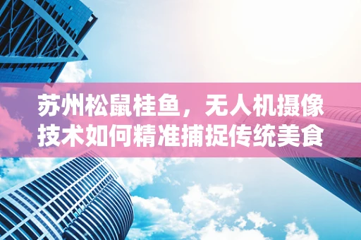 苏州松鼠桂鱼，无人机摄像技术如何精准捕捉传统美食的‘动态’魅力？